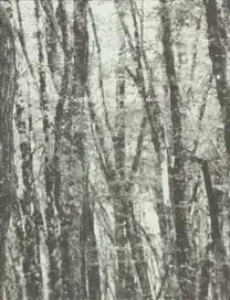 Lucía Peluffo - Somos uno. Somos dos.