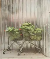 Torsten Schumann - More Cars, Clothes and Cabbages