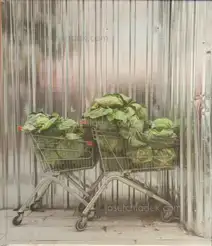 Torsten Schumann - More Cars, Clothes and Cabbages