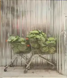 Cover of Torsten Schumann - More Cars, Clothes and Cabbages