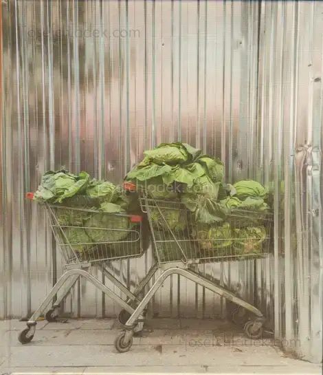 Cover of Torsten Schumann - More Cars, Clothes and Cabbages