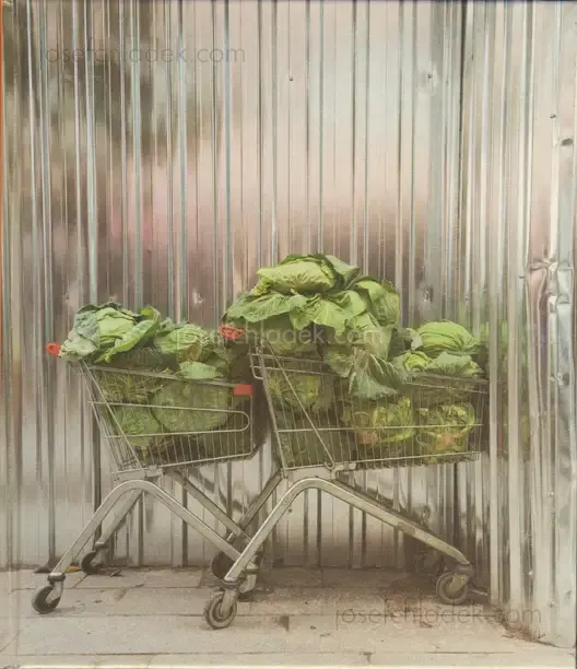 Cover of Torsten Schumann - More Cars, Clothes and Cabbages