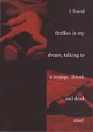 Fábio Miguel Roque - I found fireflies in my dream, talking to a strange, drunk and dead man!