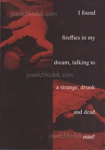 Cover of Fábio Miguel Roque - I found fireflies in my dream, talking to a strange, drunk and dead man!