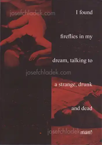 Cover of Fábio Miguel Roque - I found fireflies in my dream, talking to a strange, drunk and dead man!