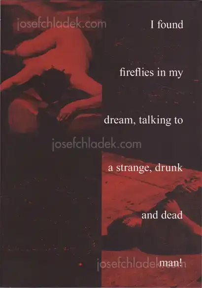 Cover of Fábio Miguel Roque - I found fireflies in my dream, talking to a strange, drunk and dead man!