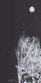 Hajime Kimura - Snowflakes Dog Man