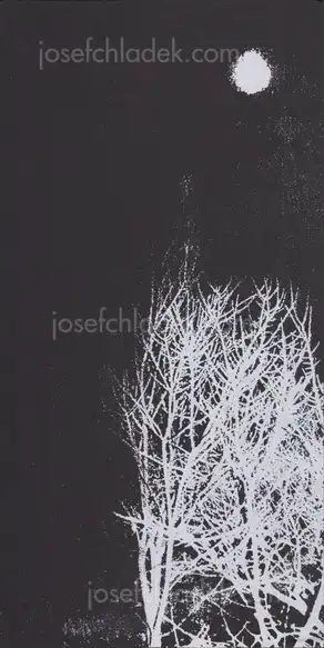 Cover of Hajime Kimura - Snowflakes Dog Man