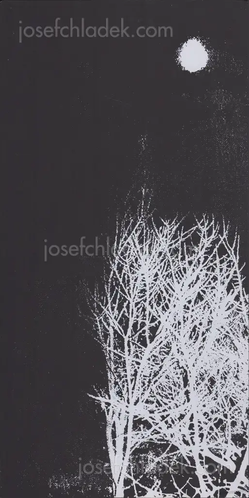 Cover of Hajime Kimura - Snowflakes Dog Man