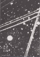  Hajime Kimura - Snowflakes Dog Man (Snowflakes 1 front)