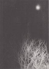  Hajime Kimura - Snowflakes Dog Man (Snowflakes 1 back)