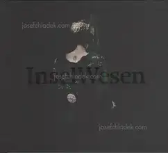 Mila Teshaieva - InselWesen