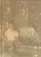 Rita Puig Serra Costa - Where Mimosa Bloom