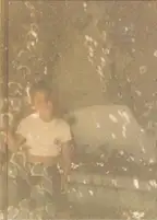 Rita Puig Serra Costa - Where Mimosa Bloom