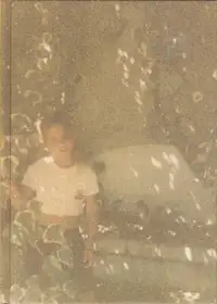 Rita Puig Serra Costa - Where Mimosa Bloom