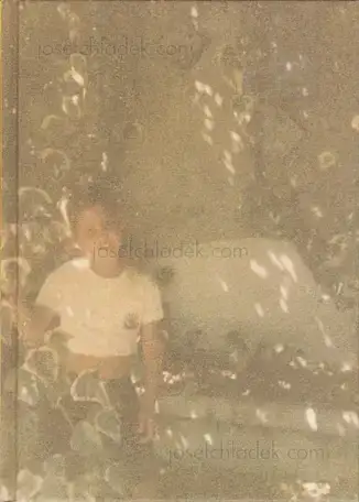 Cover of Rita Puig Serra Costa - Where Mimosa Bloom