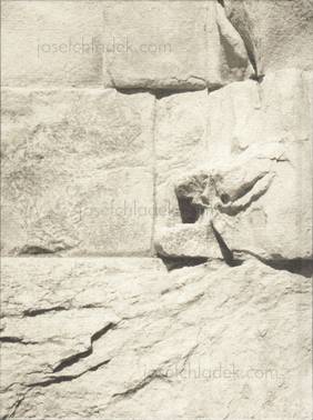  Massimo Leardini - Catarsi (Back)