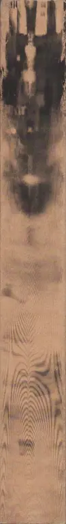 Book spine: Various - Spew II