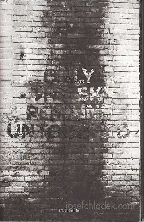 Cover of Claire Felicie - Only The Sky Remains Untouched