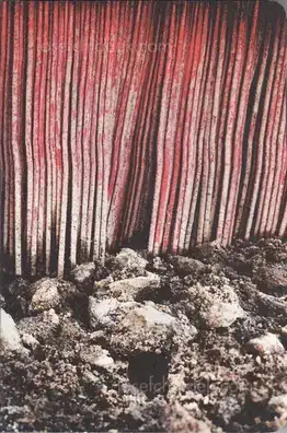 Cover of Jerker Andersson - Phone diary XV