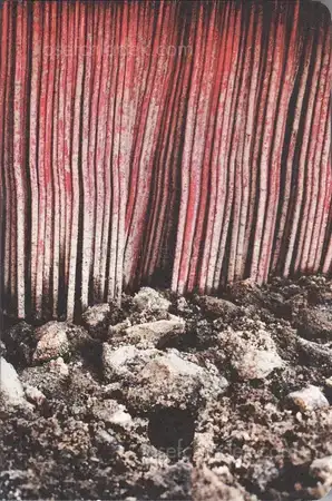 Cover of Jerker Andersson - Phone diary XV