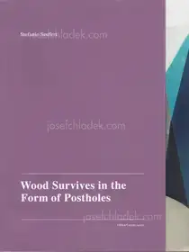 Stefanie Seufert - Wood Survives in the Form of Postholes