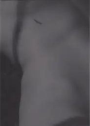 Massimo Leardini - Primitive