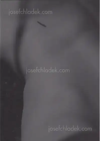 Cover of Massimo Leardini - Primitive