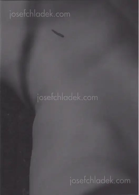 Cover of Massimo Leardini - Primitive