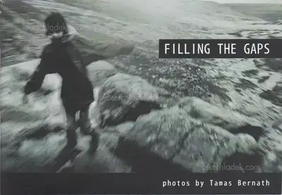 Cover of Tamas Bernath - Filling the Gaps