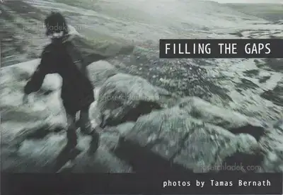 Cover of Tamas Bernath - Filling the Gaps
