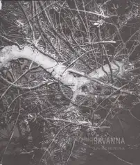 Mauricio Emiliano Valenzuela - Savanna