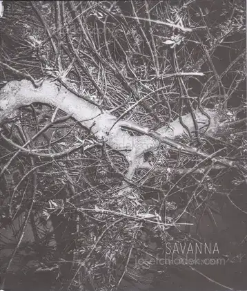 Cover of Mauricio Emiliano Valenzuela - Savanna