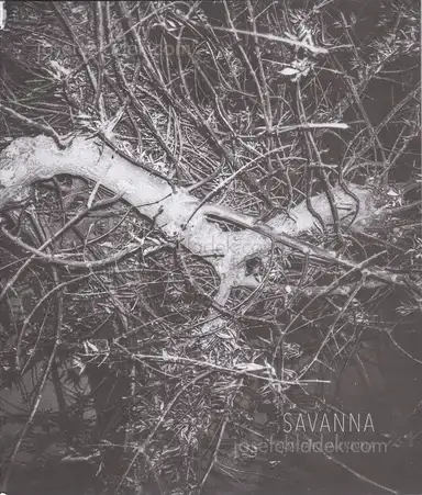 Mauricio Emiliano Valenzuela - Savanna Mauricio Emiliano Valenzuela - Savanna