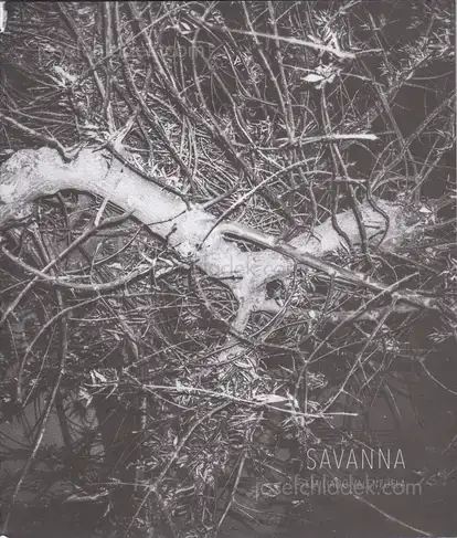 Cover of Mauricio Emiliano Valenzuela - Savanna