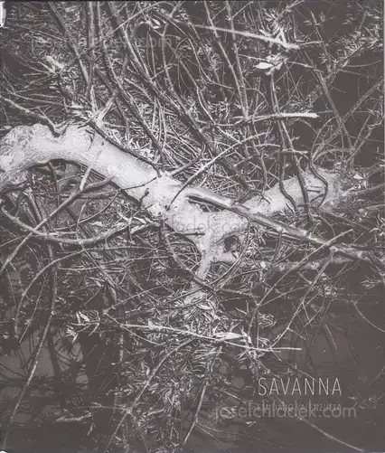 Cover of Mauricio Emiliano Valenzuela - Savanna