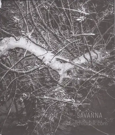 Cover of Mauricio Emiliano Valenzuela - Savanna