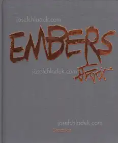 Bing Nv (病女) - Embers