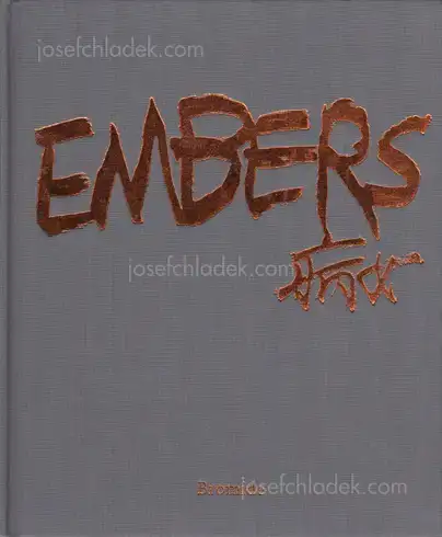 Cover of Bing Nv (病女) - Embers