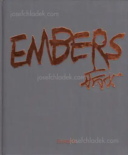 Cover of Bing Nv (病女) - Embers