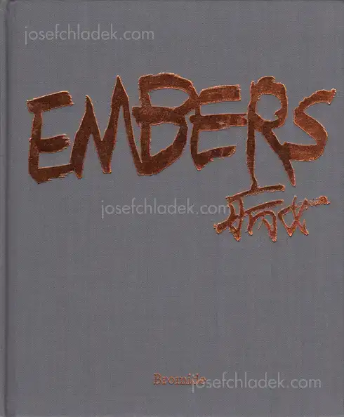 Cover of Bing Nv (病女) - Embers