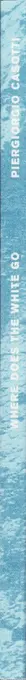 Book spine: Piergiorgio Casotti - Where Does The White Go