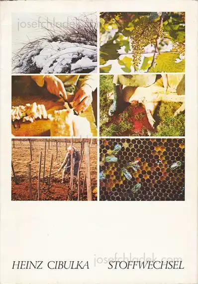 Cover of Heinz Cibulka - Stoffwechsel