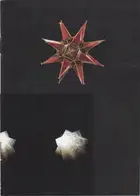 Óscar Cánovas - El paraíso del loco