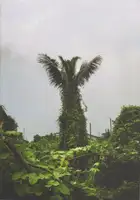 Akkara Naktamna - Signs