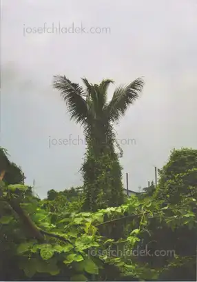 Cover of Akkara Naktamna - Signs