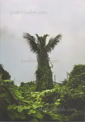 Cover of Akkara Naktamna - Signs