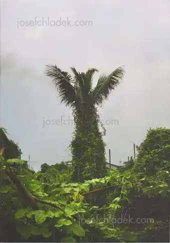 Cover of Akkara Naktamna - Signs
