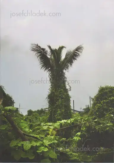 Akkara Naktamna - Signs Akkara Naktamna - Signs