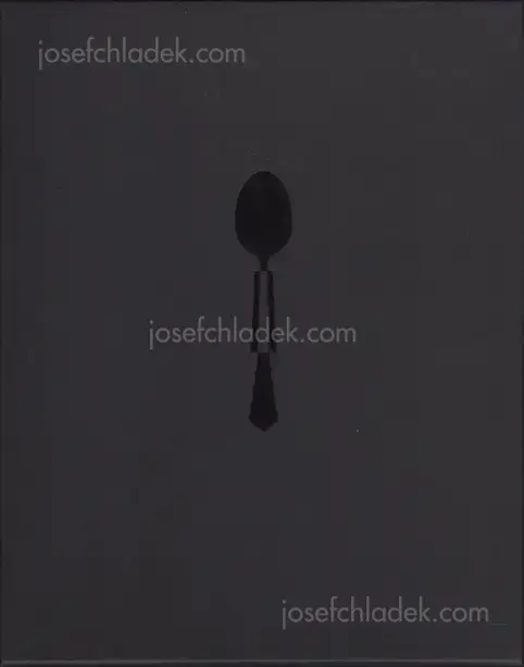 Cover of Manca Juvan - Guardians of the Spoon